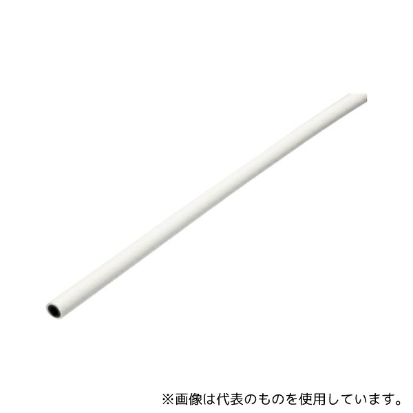 緑であること活動の領域