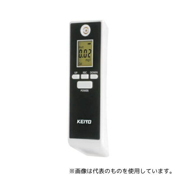 緑であること活動の領域