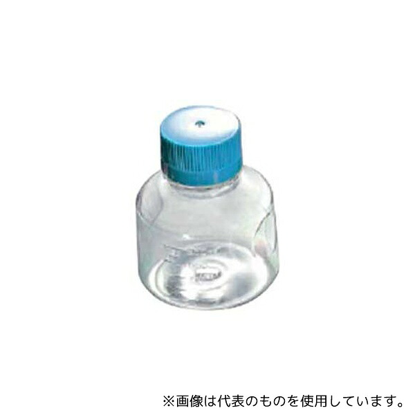 緑であること活動の領域