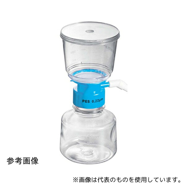 緑であること活動の領域
