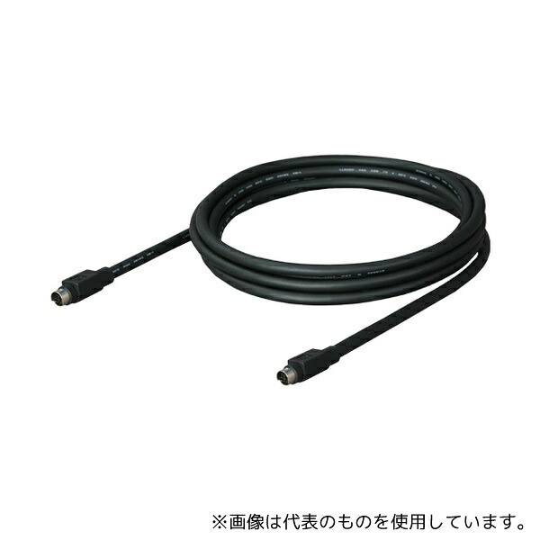 緑であること活動の領域