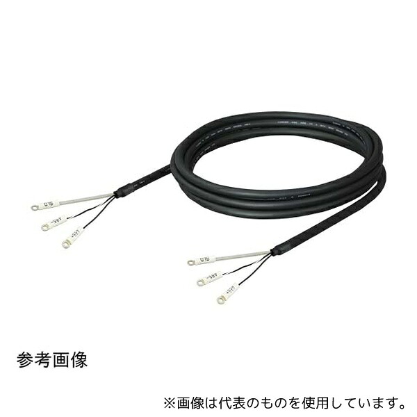 緑であること活動の領域