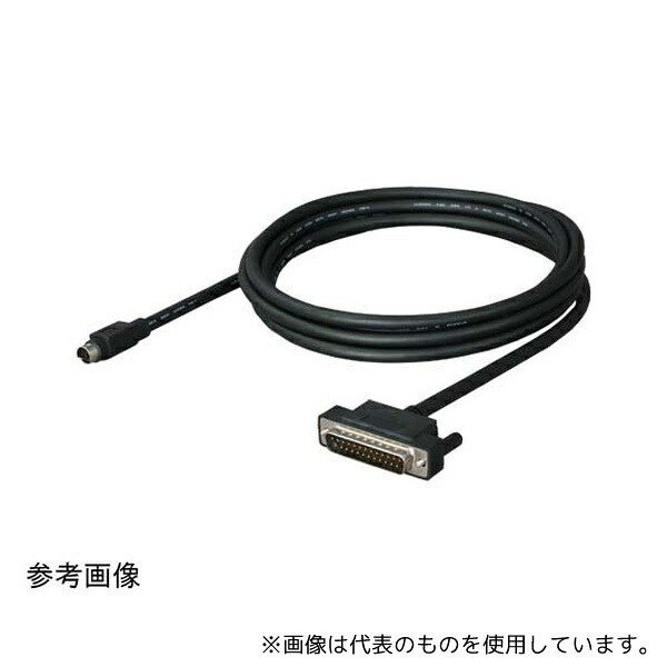 緑であること活動の領域