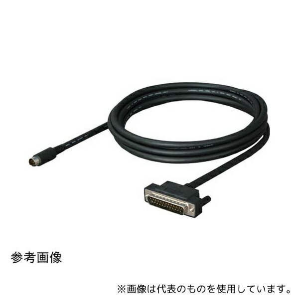 緑であること活動の領域