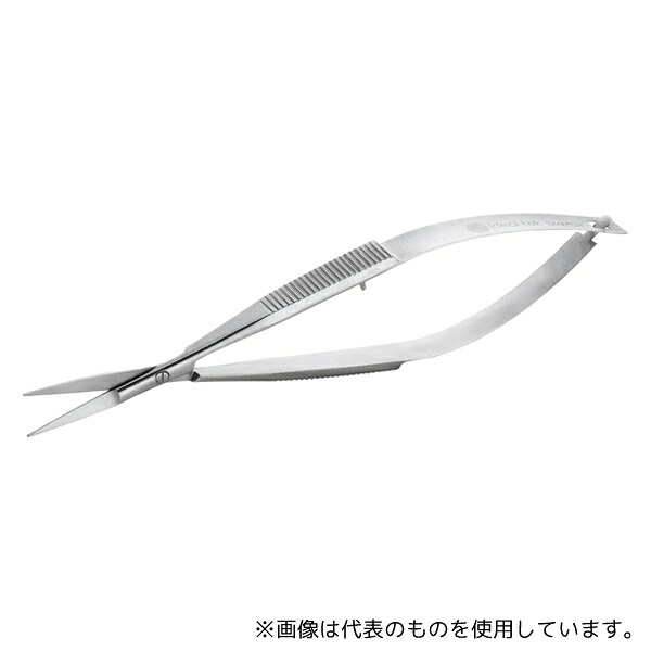 緑であること活動の領域