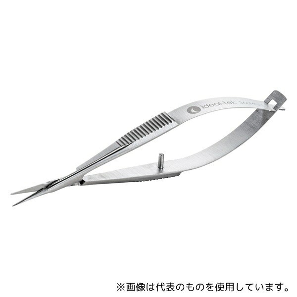 緑であること活動の領域