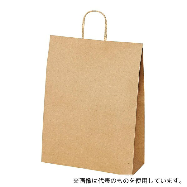 アズワン 61-812-49-6 手提紙袋 丸ヒモ 再生紙タイプ 幅38×奥行15×高さ50cm 200枚