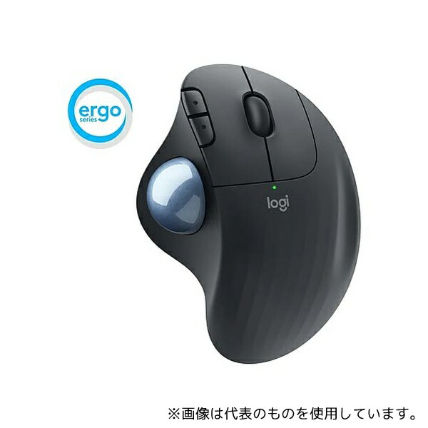 緑であること活動の領域