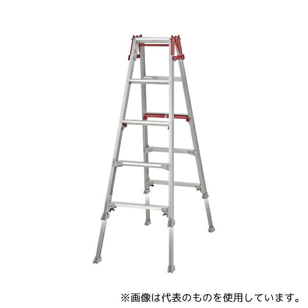 緑であること活動の領域