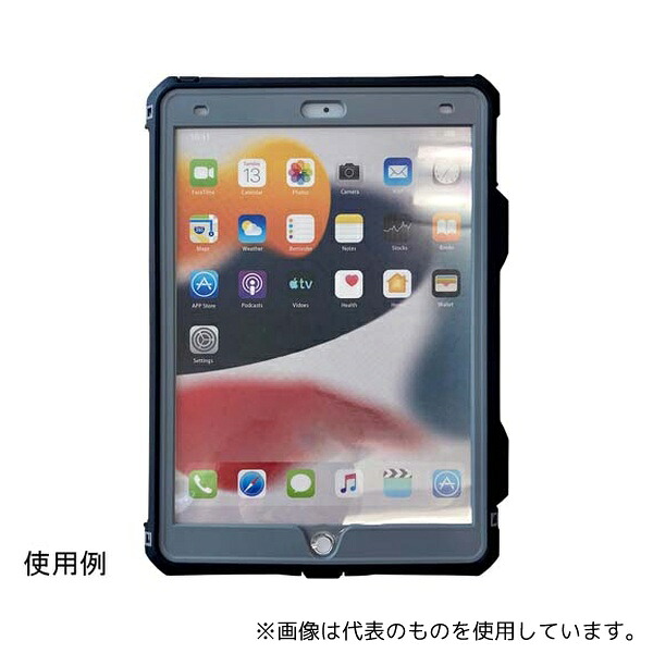 緑であること活動の領域