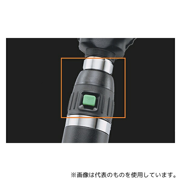 緑であること活動の領域