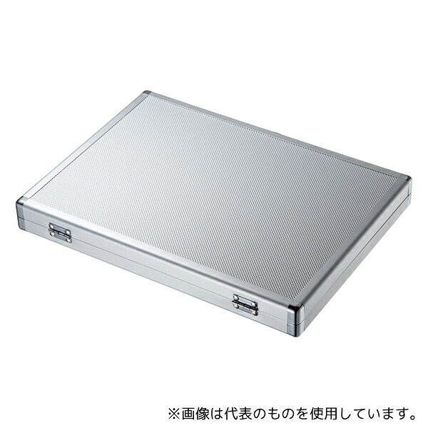 サンワサプライ FC-UFD2N USBフラッシュメモリケース (28本収納)
