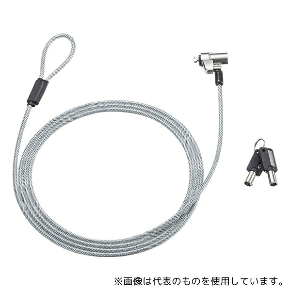 サンワサプライ SLE-35S-1 NobleWedgeスロット対応セキュリティワイヤー(eセキュリティ・鍵No.1)