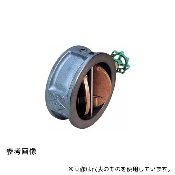 東洋バルヴ 10-FNW 100A 鋳鉄 ウイングチャッキ(10-FNW)呼び径100mm