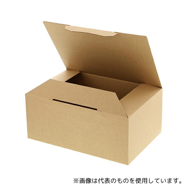 HEIKO 2123101 段ボール テープレス式 B5用-120 無地 20枚入