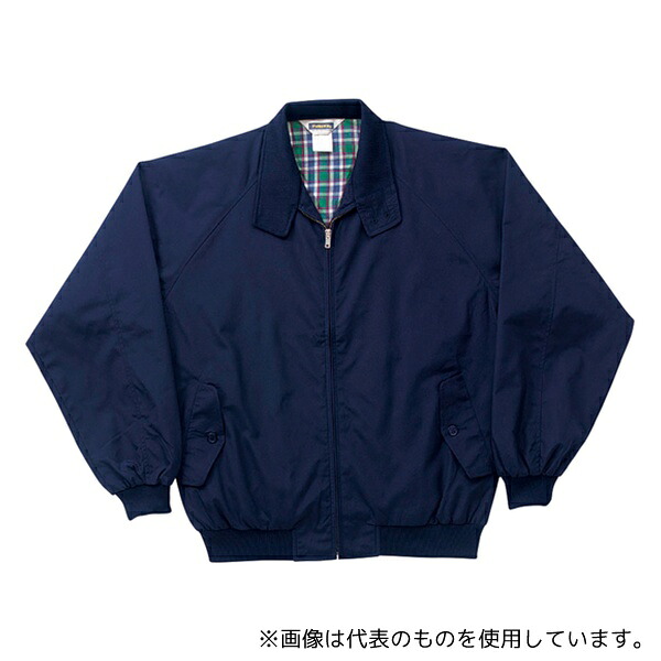 緑であること活動の領域