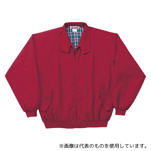 緑であること活動の領域
