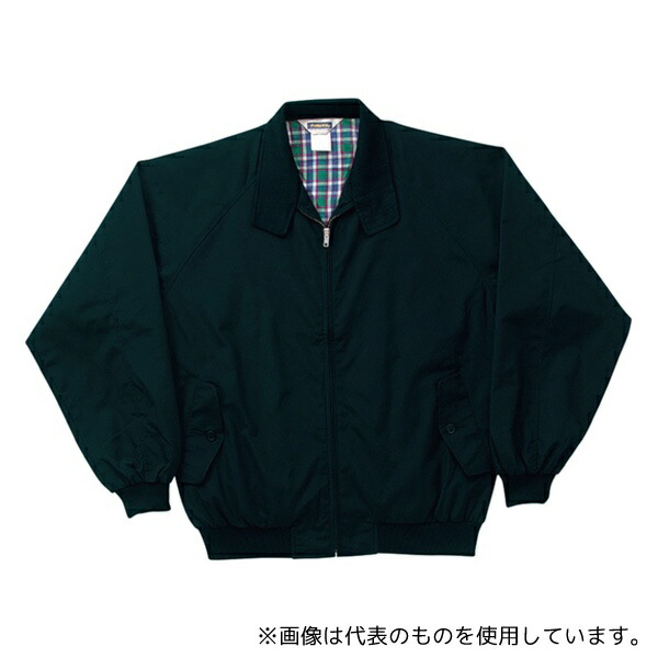 緑であること活動の領域