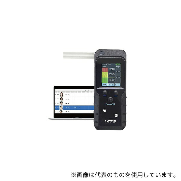 緑であること活動の領域