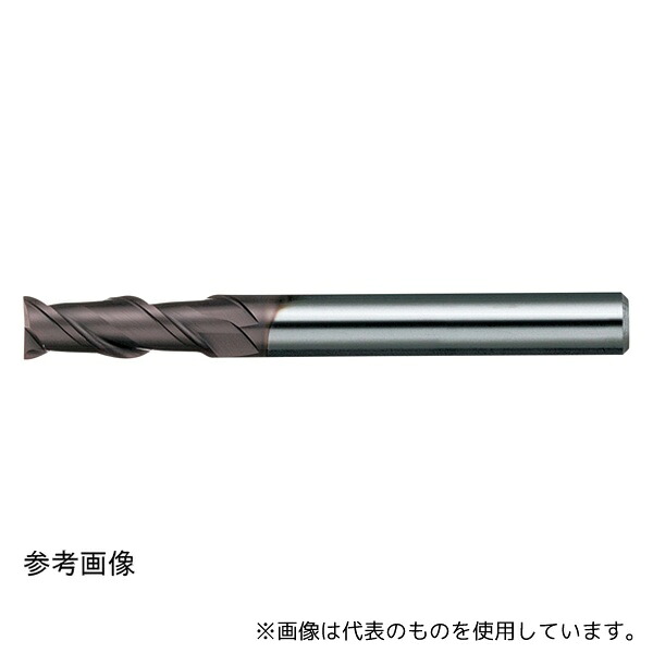日進工具 MSE245 6 無限エンドミル2枚刃 刃径6