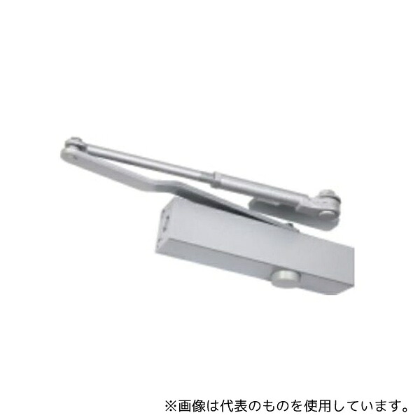 緑であること活動の領域