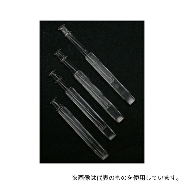 緑であること活動の領域