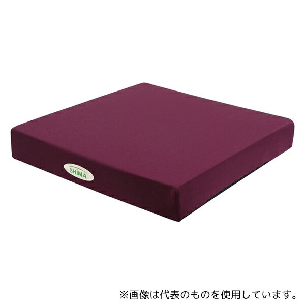 島製作所 洗える2層クッション エンジ