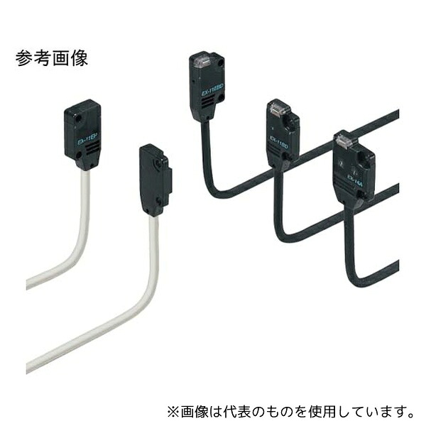 緑であること活動の領域
