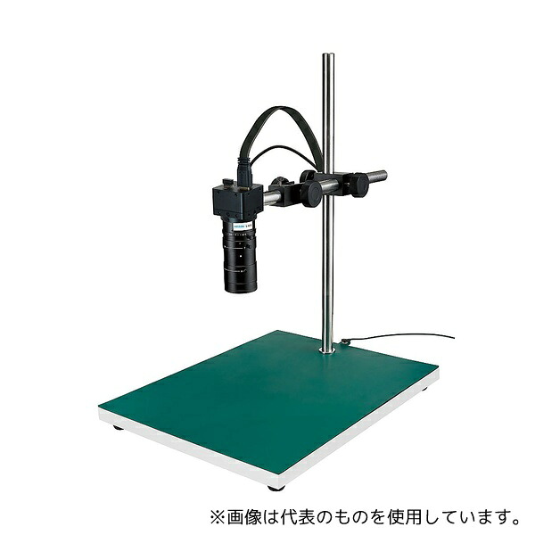 緑であること活動の領域