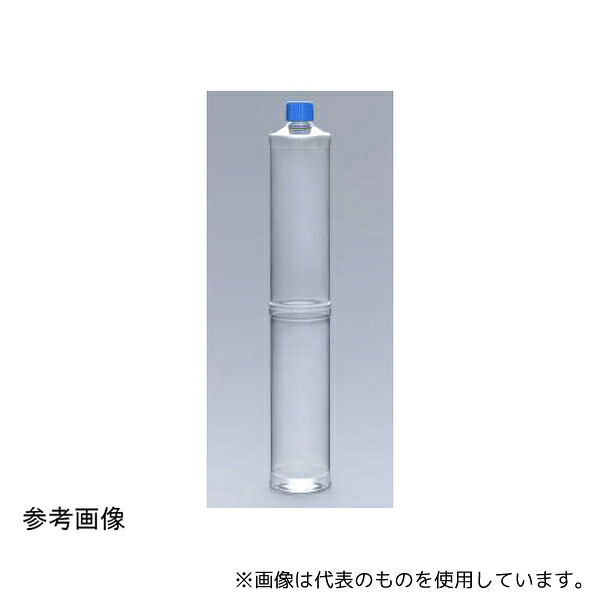 緑であること活動の領域