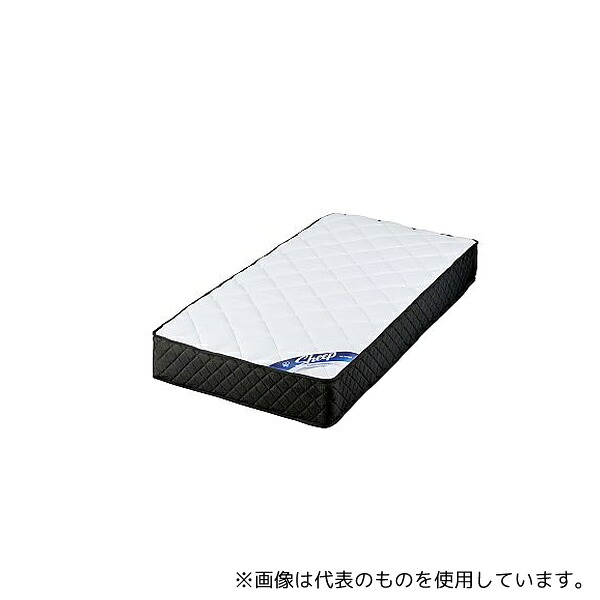 緑であること活動の領域