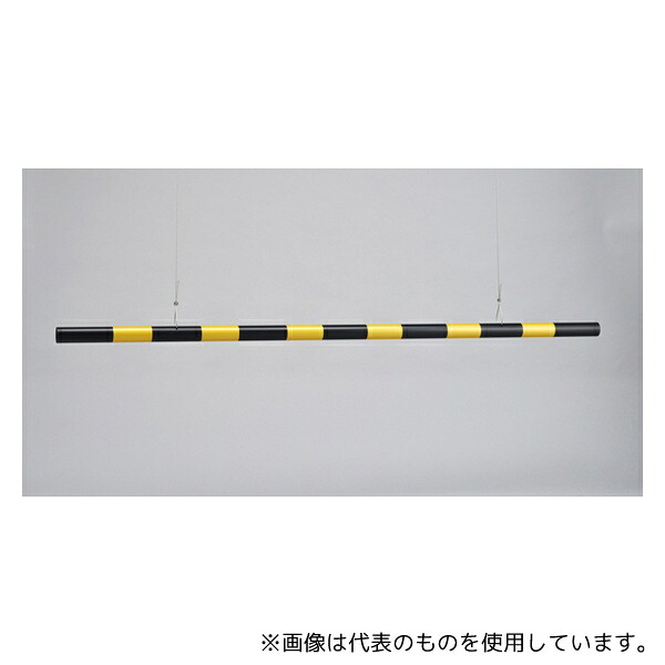 緑であること活動の領域