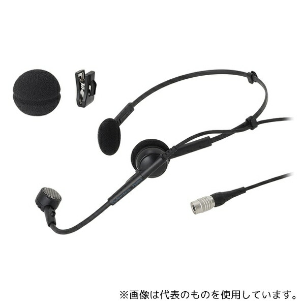 緑であること活動の領域