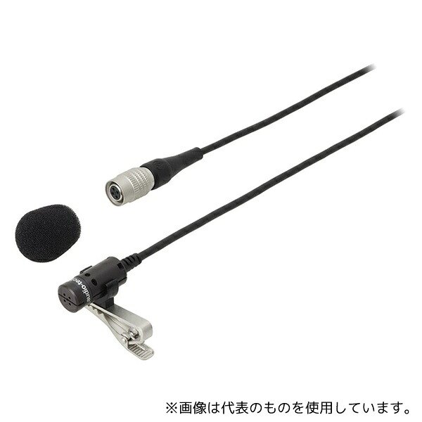 緑であること活動の領域