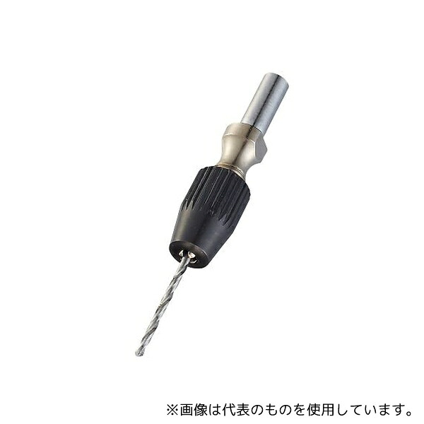 緑であること活動の領域