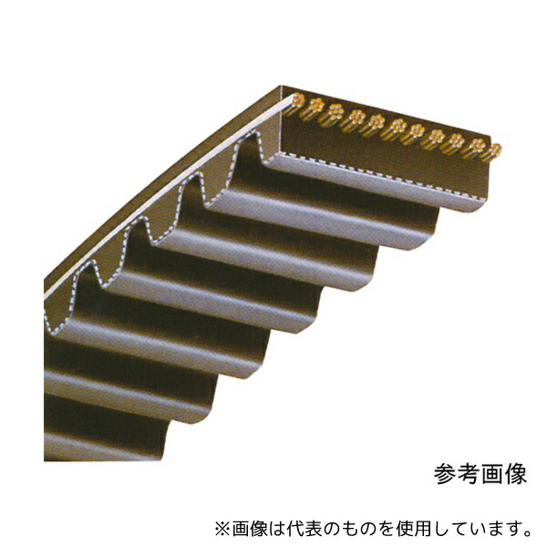 緑であること活動の領域