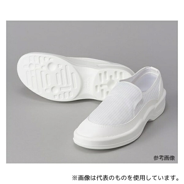 緑であること活動の領域
