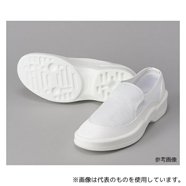 緑であること活動の領域