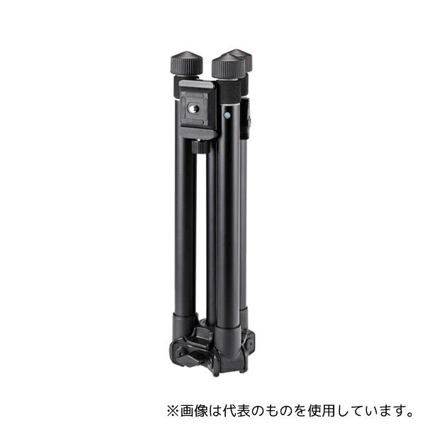 緑であること活動の領域