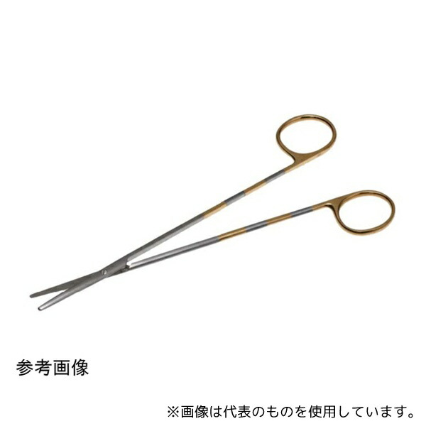 緑であること活動の領域
