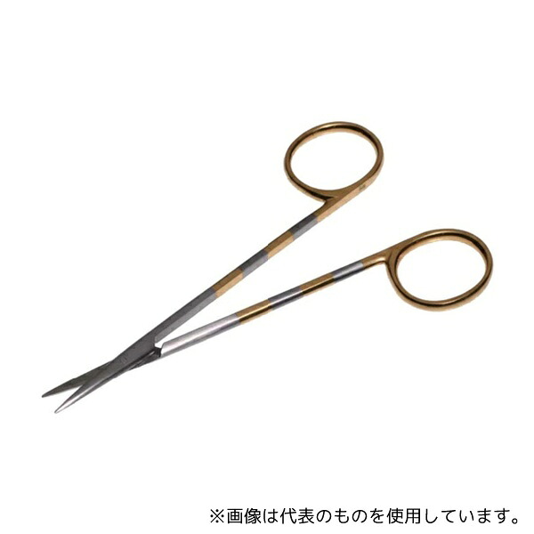 緑であること活動の領域