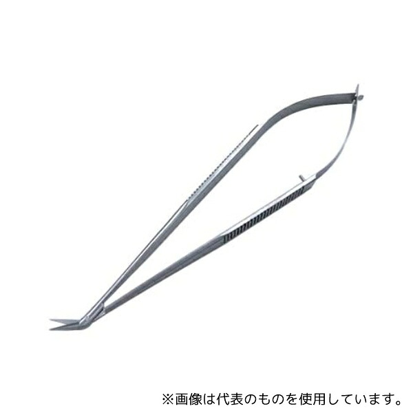 緑であること活動の領域