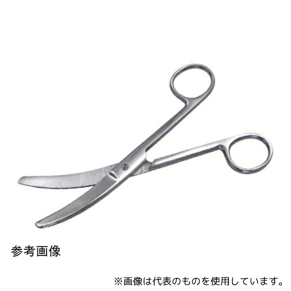 緑であること活動の領域
