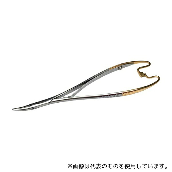 緑であること活動の領域
