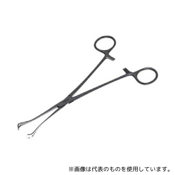 緑であること活動の領域