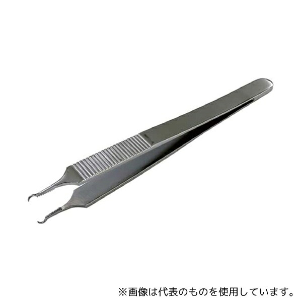 緑であること活動の領域