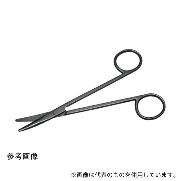 緑であること活動の領域