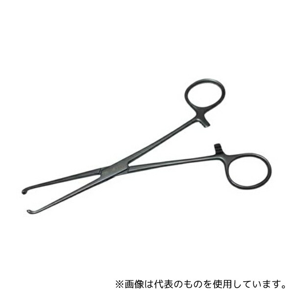 緑であること活動の領域