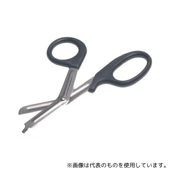 緑であること活動の領域