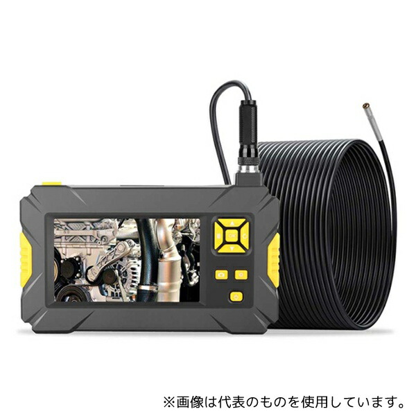 緑であること活動の領域